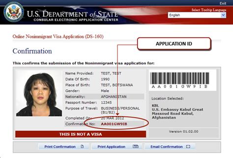 us immigration application status|CEAC .